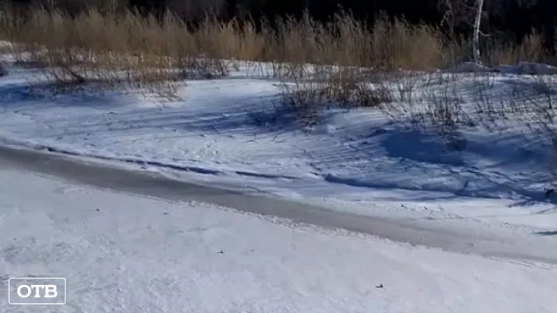 Прокуратура проверит, кто сливает нечистоты в реку Пышму