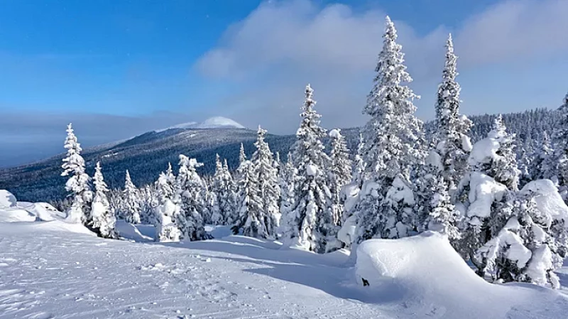 9-13 февраля на Среднем Урале ожидаются аномальные морозы