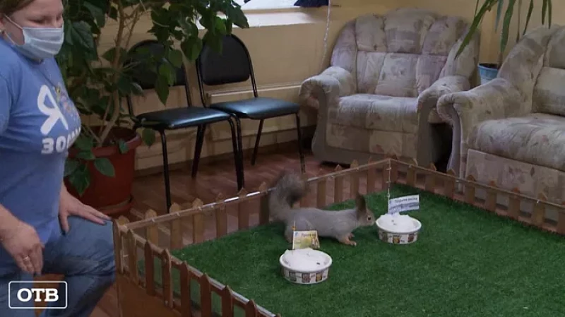 Белка в День сурка предсказала уральцам позднюю весну