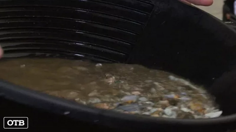 Уральские школьники готовятся к всероссийской полевой олимпиаде