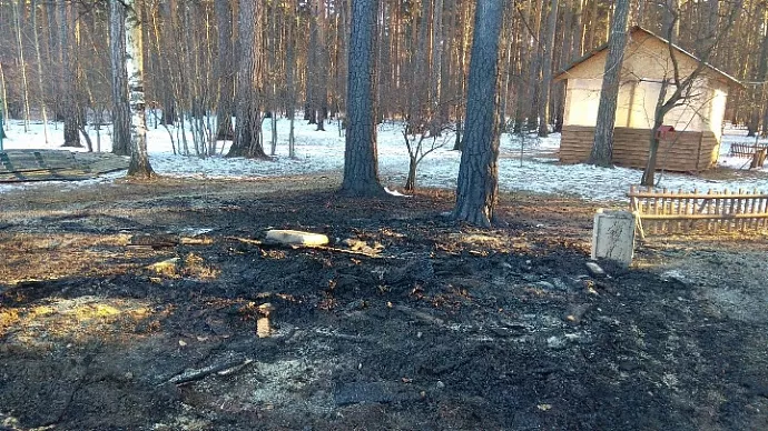 Екатеринбуржцу грозит колония за поджог беседки в парке