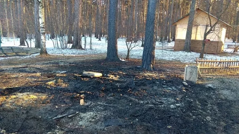 Екатеринбуржцу грозит колония за поджог беседки в парке