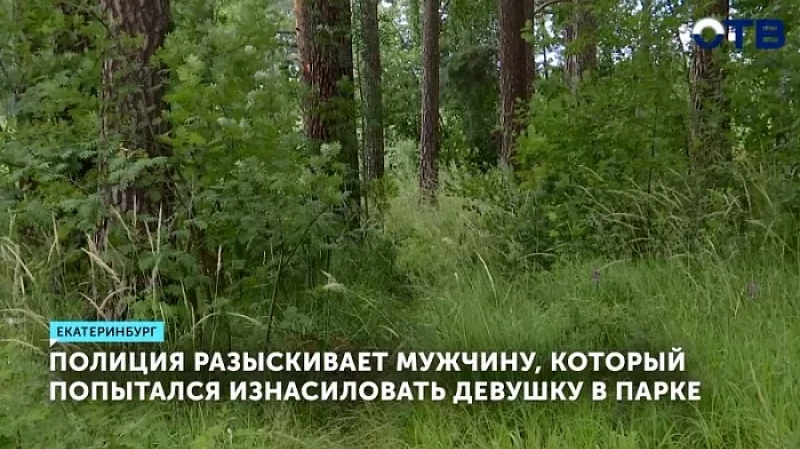Полиция разыскивает мужчину, который попытался изнасиловать девушку в парке