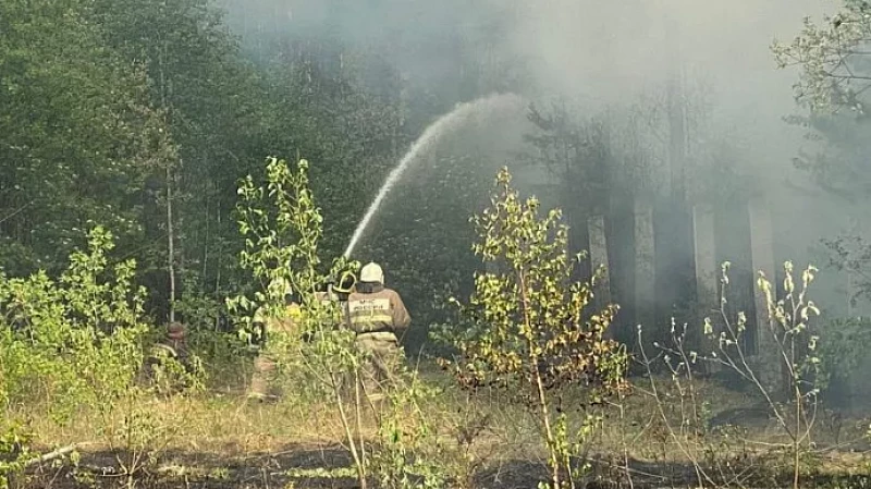 Лесные пожары в Свердловской области возобновились