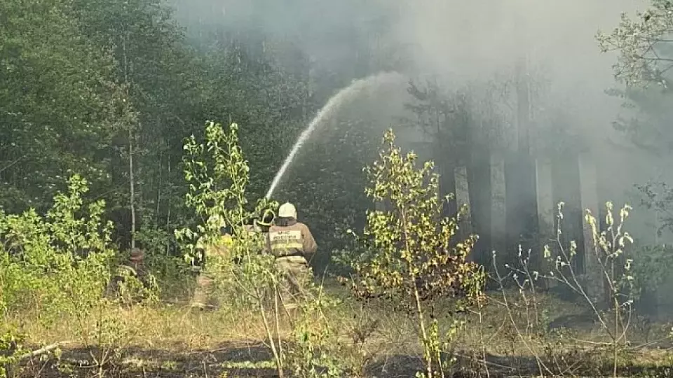 Лесные пожары в Свердловской области возобновились