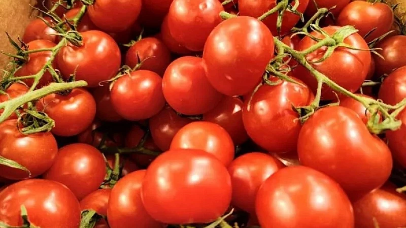 Кардиолог: томаты на 36% снижают риск развития гипертонии