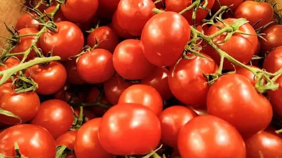 Кардиолог: томаты на 36% снижают риск развития гипертонии