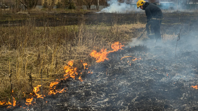 В июне в Свердловской области зафиксировали 41 лесной пожар