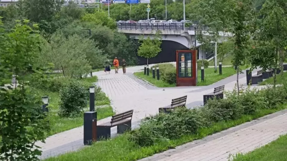 Озеленение городов: мода против природы