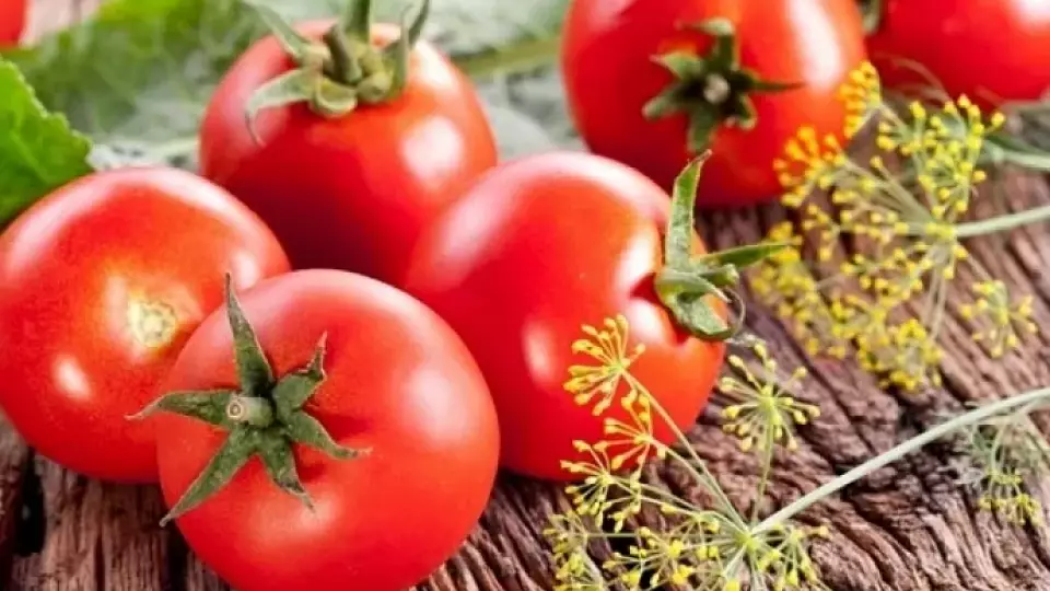 18 тонн заражённых томатов уничтожили в Екатеринбурге