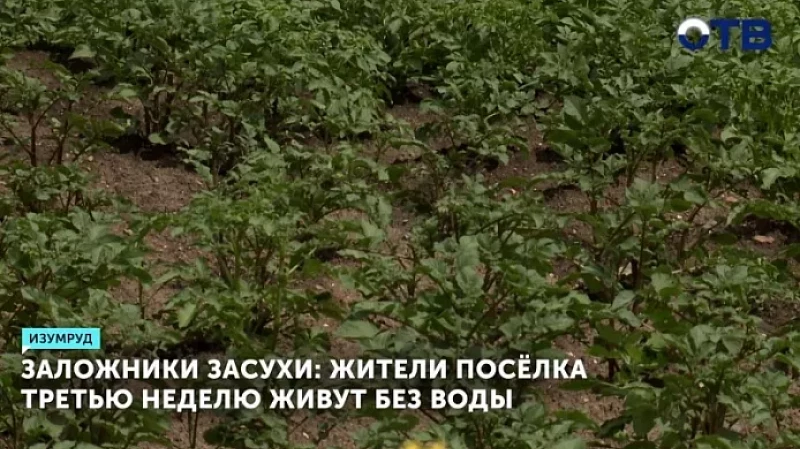 Жители посёлка Изумруд третью неделю живут без воды