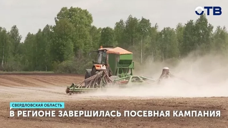 В Свердловской области завершилась посевная кампания
