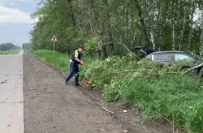 Пожилой водитель погиб в ДТП в Екатеринбурге