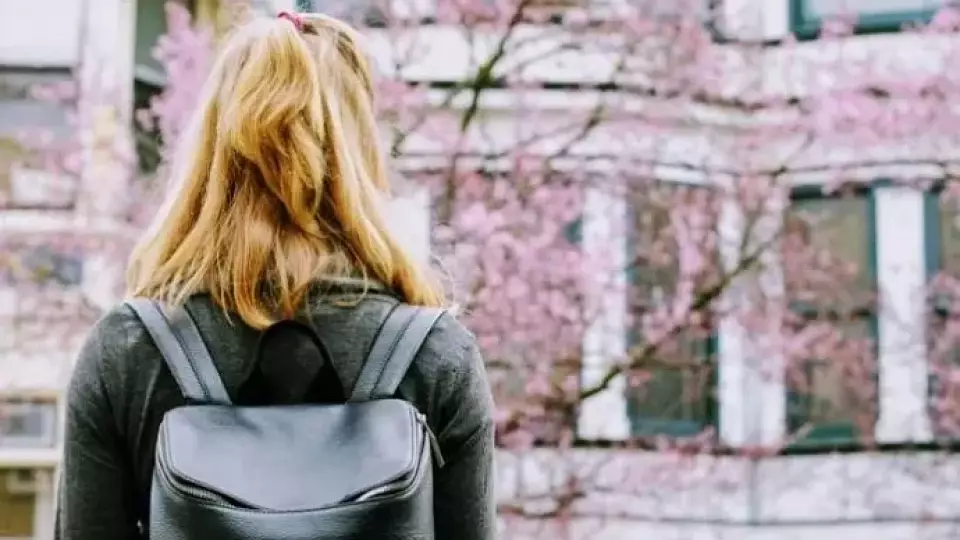 Треть россиян считают отечественное образование лучше зарубежного