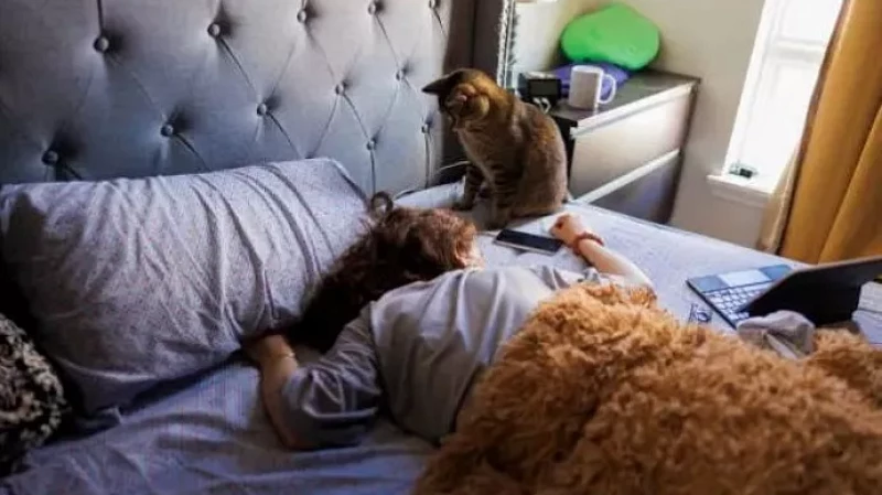 Ты жаворонок или сова? Исследователи рассказали, кого больше