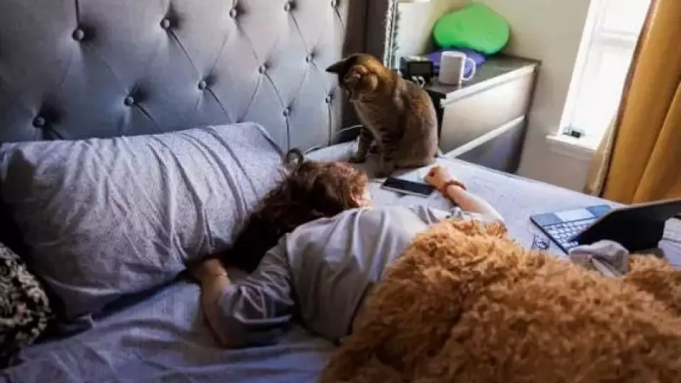 Ты жаворонок или сова? Исследователи рассказали, кого больше