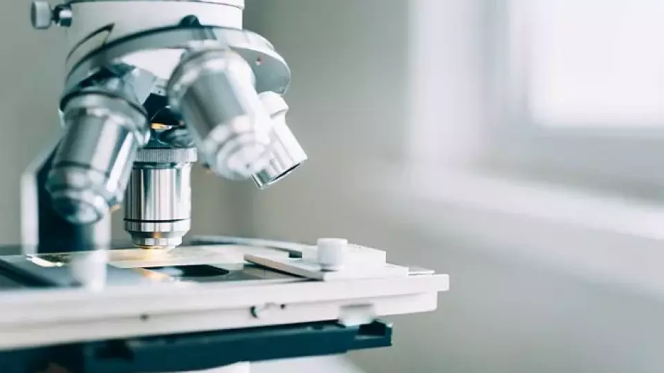 ИИ поможет определить глубину ожогов: разработка нижегородских учёных