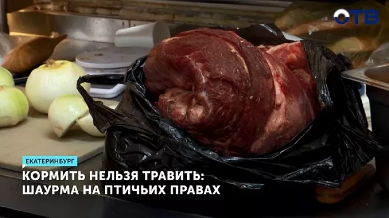 Кормить нельзя травить: шаурма на птичьих правах