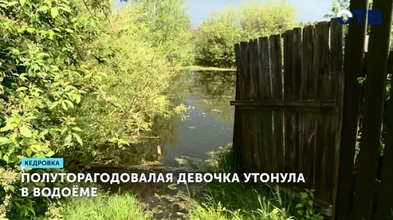 Полуторагодовалая девочка утонула в водоёме