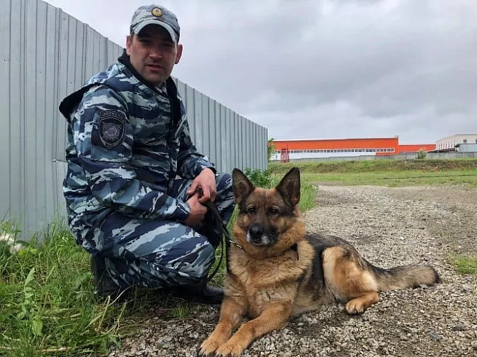 В лесу под Байкалово пропали двое детей