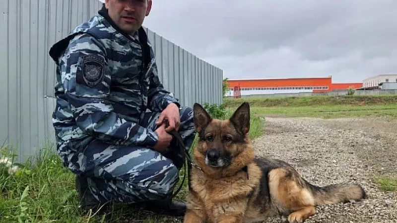 В лесу под Байкалово пропали двое детей