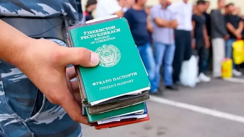 Правозащитник: в России нет института полномочных экспертов по вопросам гражданства