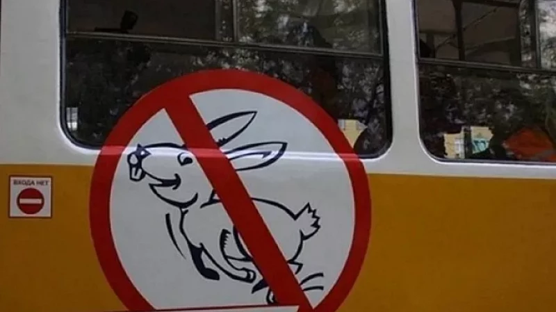 Штраф за безбилетный проезд увеличился в 25 раз