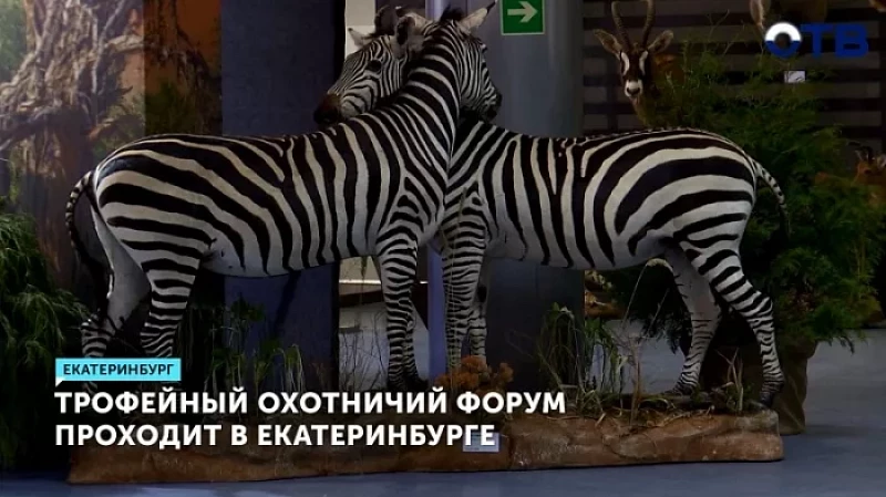 Трофейный охотничий форум проходит в Екатеринбурге