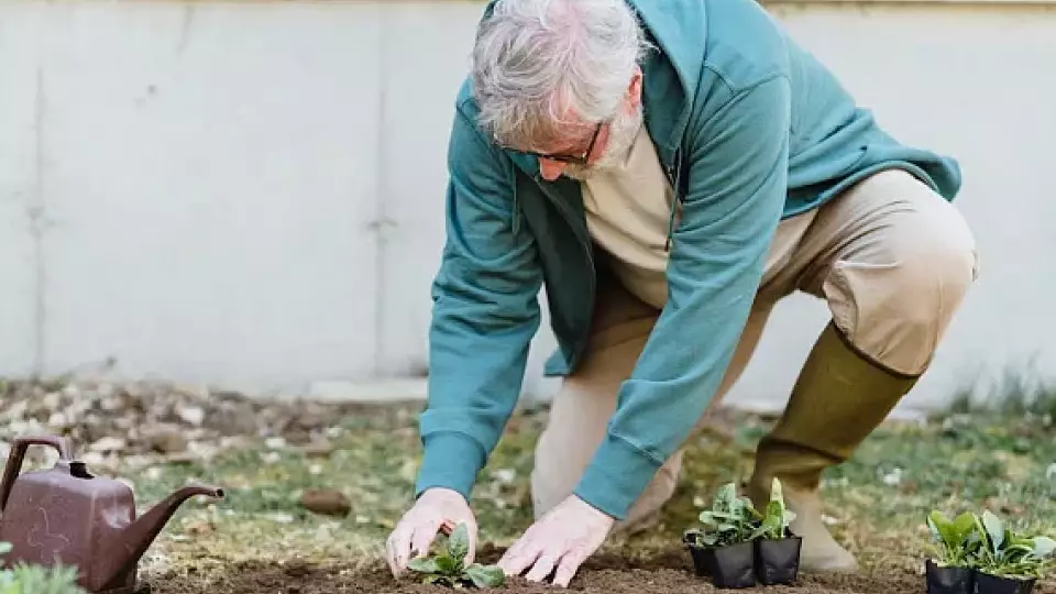 Адвокат напомнила дачникам о правилах ухода за участками