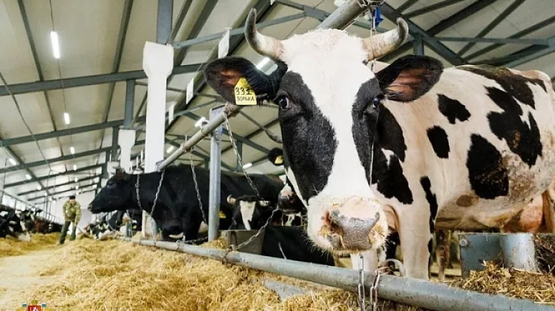 Размер гранта для начинающих сельхозпроизводителей увеличили до 8 млн рублей