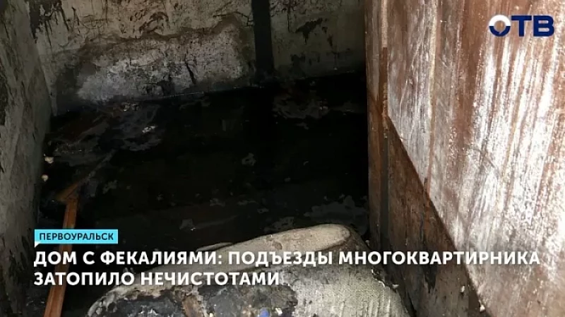Дом с фекалиями: подъезды многоквартирника затопило нечистотами