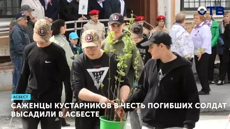 Саженцы кустарников в честь погибших солдат высадили в Асбесте