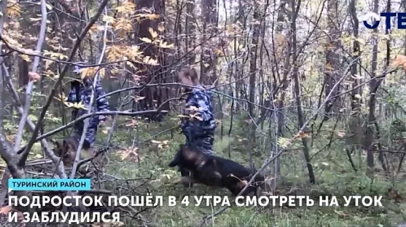 Подросток пошёл в 4 утра смотреть на уток и заблудился