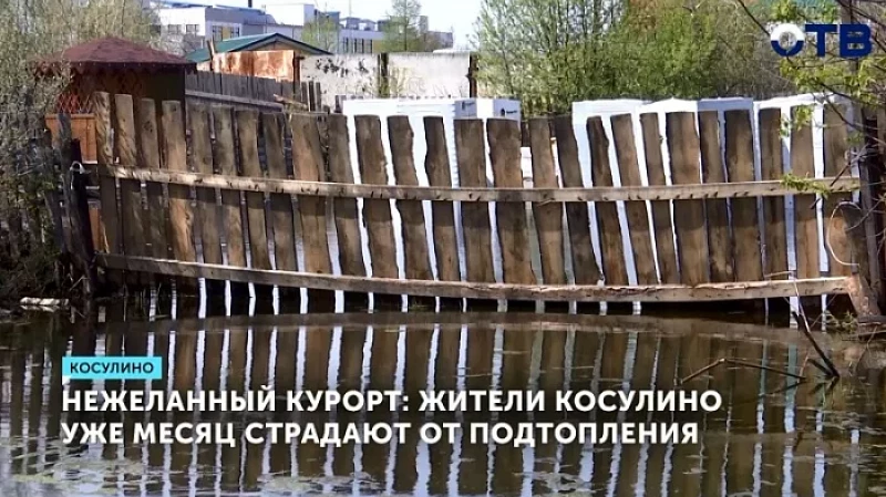 Нежеланный курорт: жители Косулино уже месяц страдают от подтопления