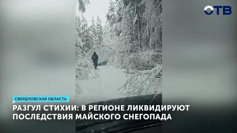 Разгул стихии: в регионе ликвидируют последствия майского снегопада