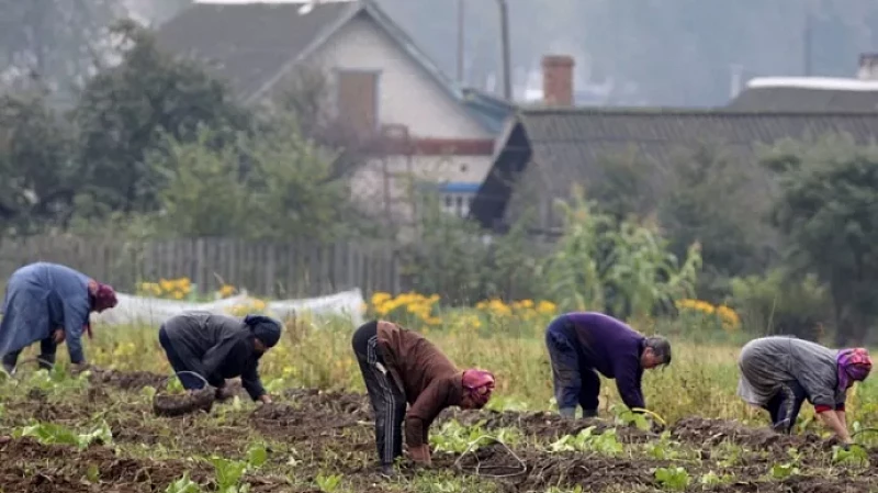 Эксперты рассказали, как не угробить здоровье в майские выходные
