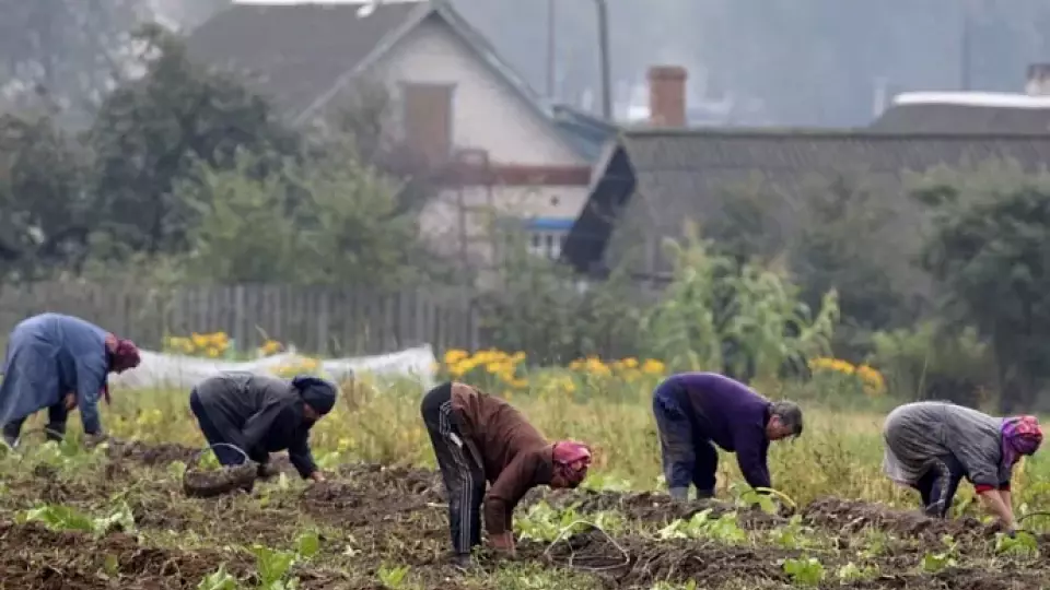 Эксперты рассказали, как не угробить здоровье в майские выходные