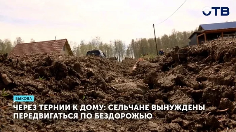 Через тернии к дому: сельчане вынуждены передвигаться по бездорожью
