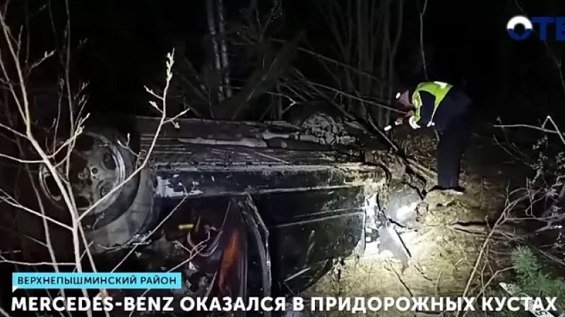 Mercedes-Benz оказался в придорожных кустах