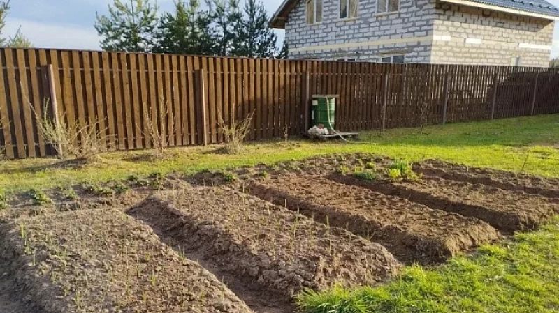 Врач рассказал об опасности дачи для детей