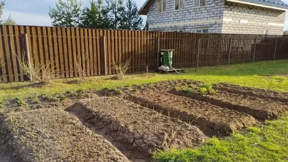 Врач рассказал об опасности дачи для детей