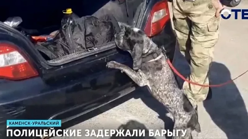 Полицейские задержали барыгу