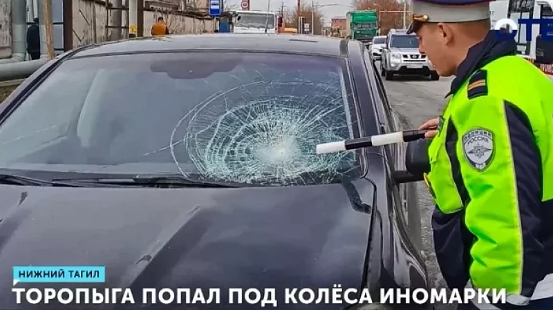 Торопыга попал под колёса иномарки