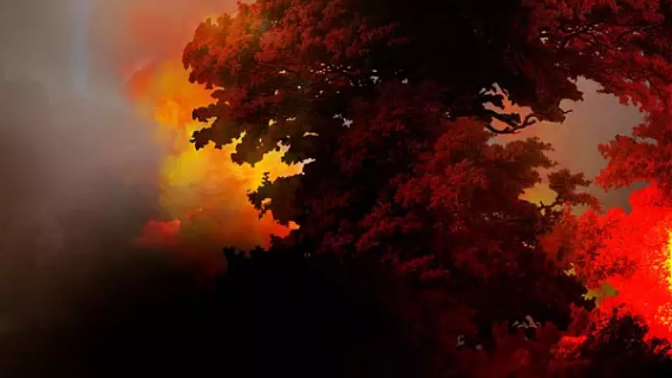 В Каменске-Уральском потушили лесной пожар