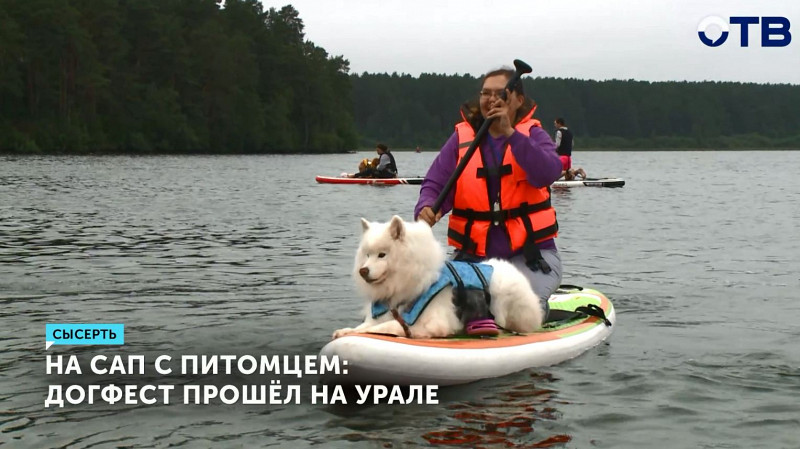 Участники догфеста устроили заплыв на сапах вместе со своими питомцами