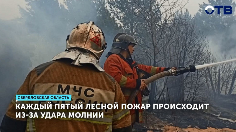 Каждый пятый лесной пожар происходит из-за удара молнии