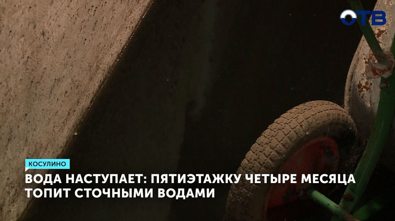 Пятиэтажку четыре месяца топит сточными водами