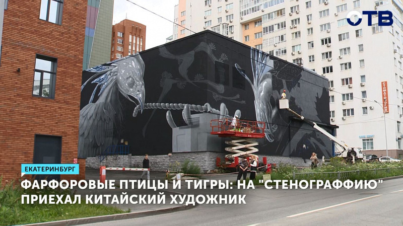 Фарфоровые птицы и тигры: на «Стенограффию» приехал китайский художник