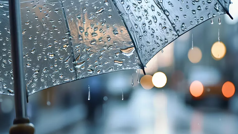 Половина месячной нормы осадков выпадет за день на юге Свердловской области