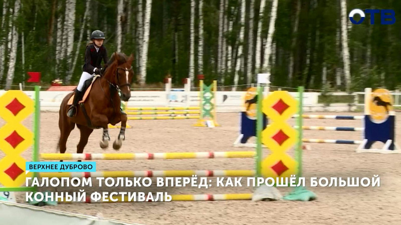 В Верхнем Дуброво прошёл большой конный фестиваль